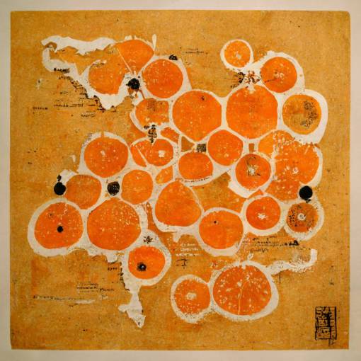 orange with ants and a map, black and white
