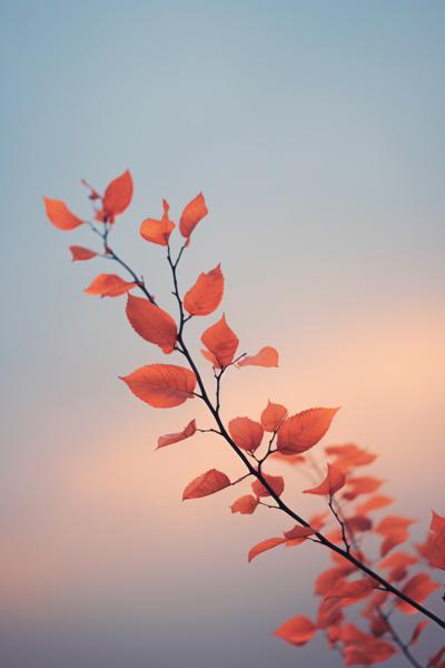 Sunset hues paint the autumn sky
